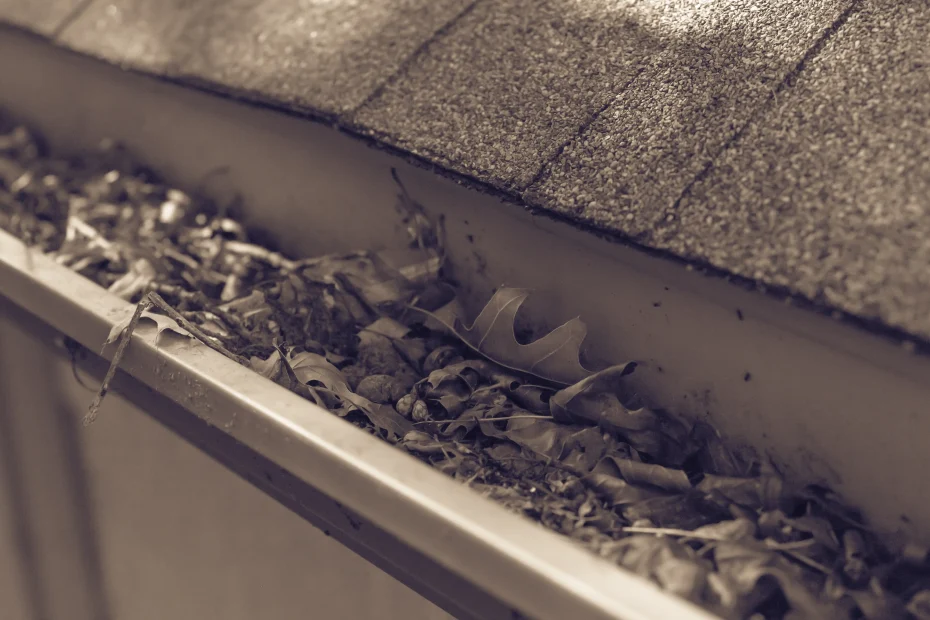 Hammond Gutter Cleaning
