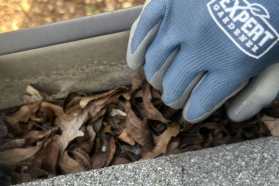 Hammond Gutter Cleaning